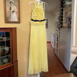 Bcbg formal pleated gown, perfect for prom